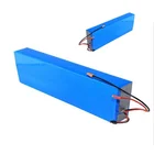 Lifepo4 lipo 48v e-bik battery pack charger