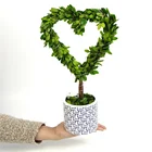 Wholesale customized indoor decor preserved boxwood tree for landscape