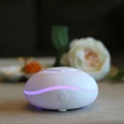 Best Quality Newest Hotel Ultrasonic Perfume Battery Aroma Air Car Diffuser Empty