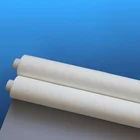 Top Manufacturer Good Price White Filter Nylon Mesh
