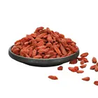 China dried large grains goji berry barbary Wolfberry Fruit in ningxia for sale