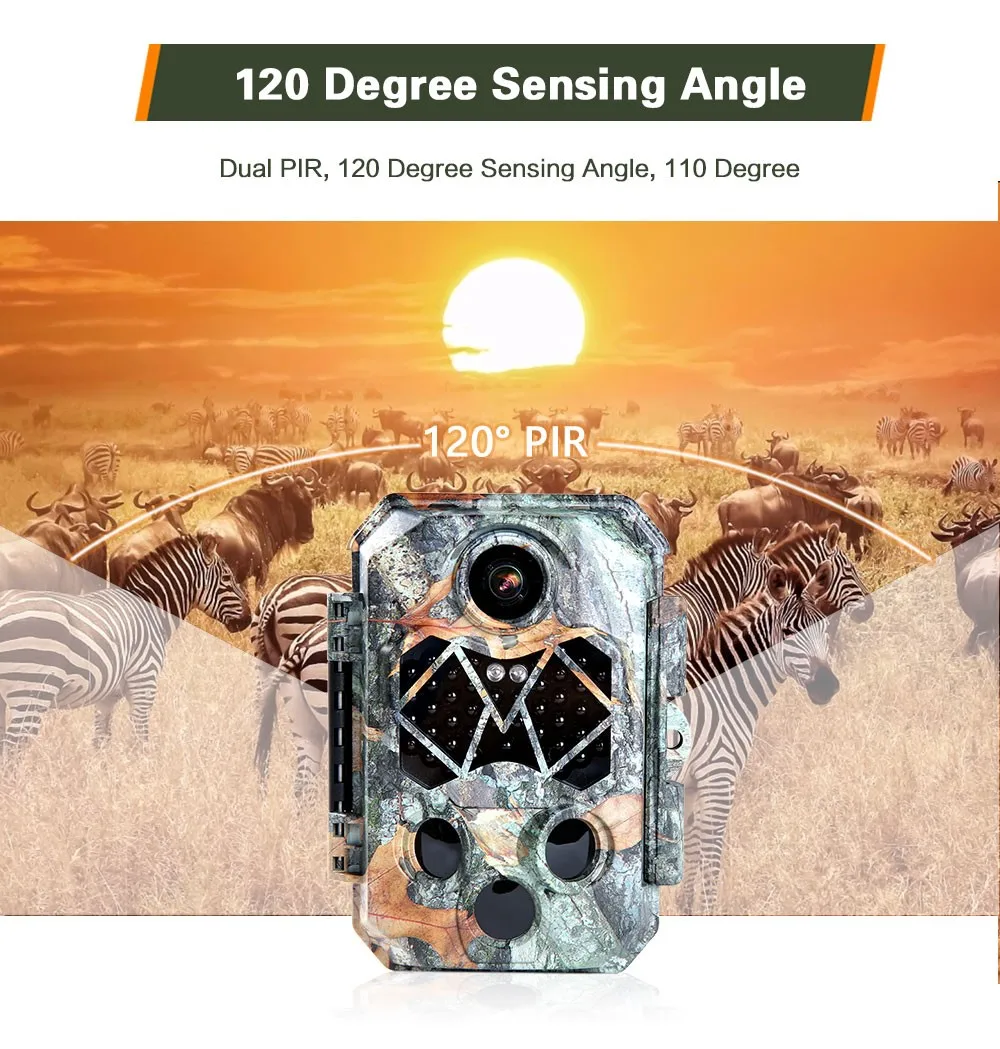 770 Trail camera 100.jpg