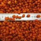 Top Quality IQF Frozen Sea Buckthorne Fruit