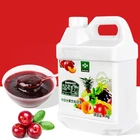 Cranberry concentrated juice drink 3kg milk tea raw material Cranberry pulp beverage juice