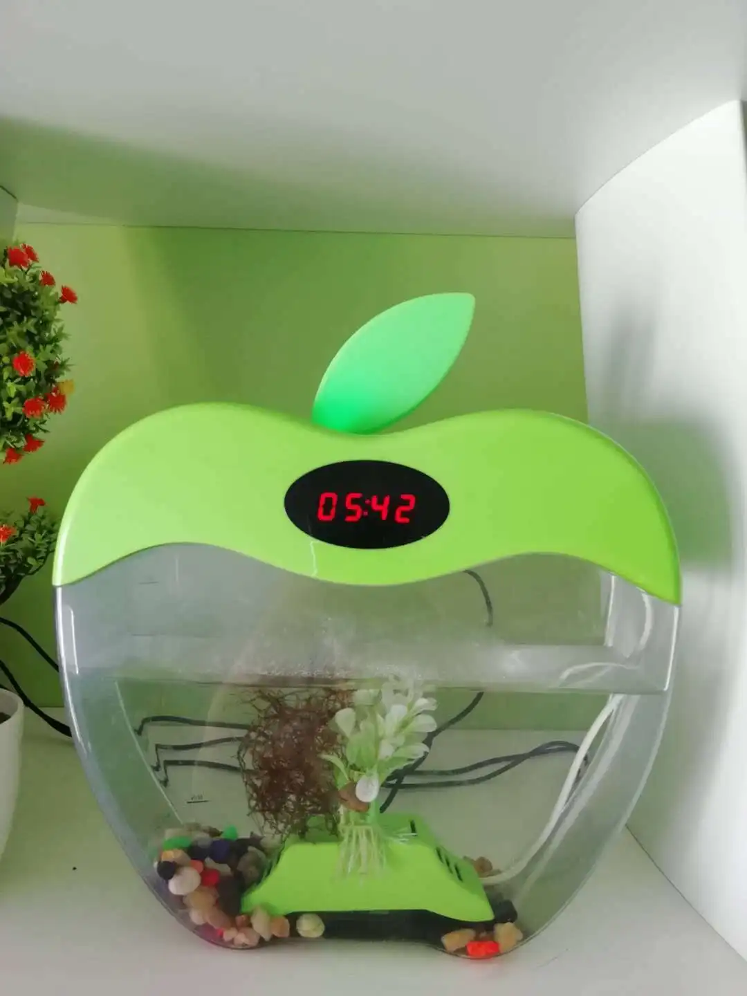 Apple fish tank 4.jpg