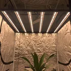 Led Grow Lights Ledled China 2020 Newest High Ppfd 600w Vertical Led Strip Grow Lights For Medical Plants