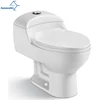 Aquacubic Hot Sale PP Slowdown Seat Cover Siphonic Ceramic Composting Toilet