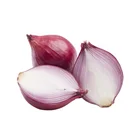china onion price onion planting fresh onion red