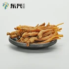 Ginseng Chinese Ginseng Best Price Green Nature Chinese Traditional Herbal Medicine Red Ginseng