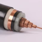 Cable Xlpe Cable Signal Core Medium Cable Power YJV N2XSY 12/20KV CU / XLPE / CTS / PVC