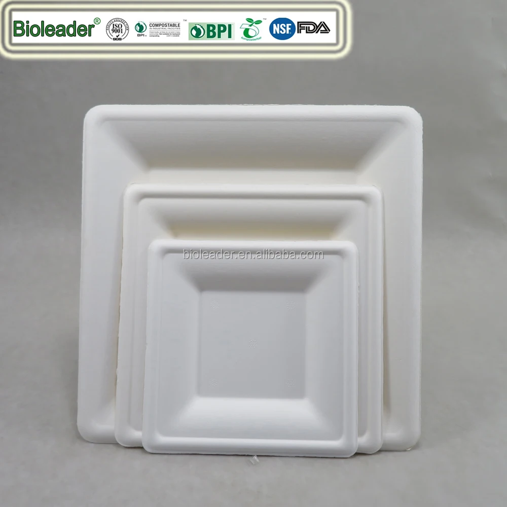 Hot Sell 100% Biodegradable Sugarcane 2 Compartment Party Plant Fiber Plates