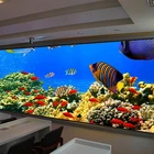 Nationstar Large viewin angle p5 indoor led screen smd led tv HD p5 led curtain for rental screen