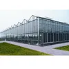 /product-detail/walk-in-tropical-wide-span-glass-greenhouse-60574113535.html