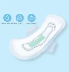 Reusable Costume Disposal Babyshow Washable Bamboo Fleece Women Sanitary Napkin Cloth Menstrual Pad 100 Box Packaging