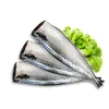 Seafood wholesale high quality frozen HGT mackerel with low price