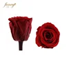 2-3 cm Wall Wedding Decoration Bridal Bouquet Preserved Roses