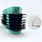 Qeelasee fast easy fanning rapid blooming volume eyelash extensions