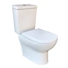 2 Piece Ceramic P Trap Washdown Toilet S-trap Siphon Rimless