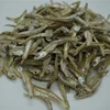 Dried Anchovy, Anchovy, Dried Fish
