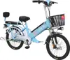 /product-detail/2019-48v-20-22-24-inch-two-person-seat-lithium-electric-bicycle-bike-62359358894.html