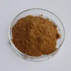 Hot Selling Green Coffee Bean Extract Powder