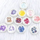 Nail Stickers Tstory Professional Designers Brand Nail Stickers With Wholesale Price