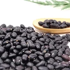Free sample New crop high quality black kidney bean SMALL BLACK