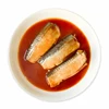 /product-detail/seafood-high-quality-cheap-price-frozen-fish-canned-mackerel-in-tomato-sauce-and-in-water-with-lower-price-60835795422.html
