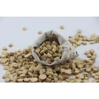 Herbs Chinese Herbs Raw Chinese Herbs Astragalus Root