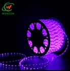 Outdoor Blue LED Rope Light 120V Waterproof Rope Christmas Lighting