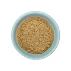 Hot Sale Lose Weight Nature Cactus Extract Powder 10:1
