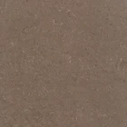 Polished Porcelain Floor Tile