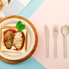 Disposable Plate Factory Wholesale Natural Disposable Degradable Cake Food Dishes Plate