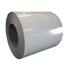 Prepainted Color Galvanizing Steel Sheet for Roof tiles