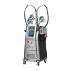LF-246 Cryolipolysis RF Laser Cryolipolysis Body Shaping Equipment For Beauty Salon with CE Certification