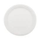 7 Inch Disposable Sugarcane Tray Biodegradable Plate
