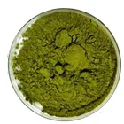 Leaf Moringa Powder Competitive Price Supply Moringa Leaf Powder
