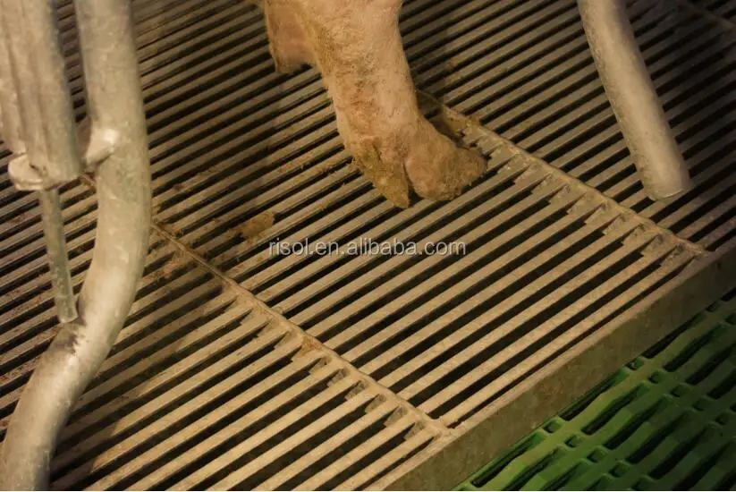 specification of high strength steel floor are suitable for sows