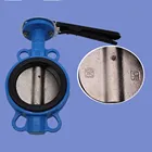 D71x-16 cast Iron Butterfly Valve 304 stainless Steel Manual Ductile Iron Valve dn50 65 80 100