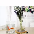 Square shaped glass plant pot glass flower pot garden pots glassware vase