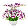 /product-detail/china-manufacturing-cheap-7-forks-artifical-orchid-flower-in-pot-artificial-flower-china-62373523661.html