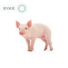 Feed Grade Powder Enzyme Beta Mannanase