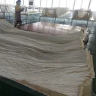Industry Mbr Membrane Module Membrane Filter PVDF Fiber MBR Module For Biological Treatment Wastewater Industry