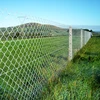 30 Years' factory supply fence garden fence used chain link fence gates