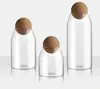 /product-detail/modern-glass-storage-jars-w-air-tight-cork-sphere-lid-3-sizes-chic-minimalist-62343847531.html