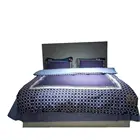 New Style White Duck Down Feather Quilt For Fall And Winter