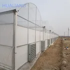film cover greenhouse with hydroponic sytsem for tomato and cucumber for farm