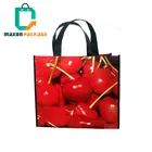 Guangzhou manufacturer Custom Design Handled Tote Carry Promotional Cheap Eco-Friendly Fabric Non Woven Shopping Bag