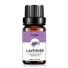 Wholesale 100% Pure natural organic french lavender essential oil