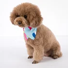 Dog Birthday Party decorations pet birthday Set Bandana Scarf Print Balloons bandana